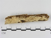 登錄號:F0008689藏品圖，第3張