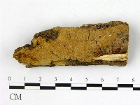 登錄號:F0008690藏品圖，第1張