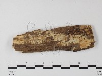登錄號:F0008691藏品圖，第1張