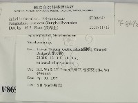 登錄號:F0008692藏品圖，第2張