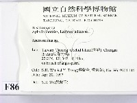 登錄號:F0008693藏品圖，第2張