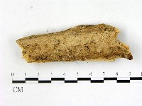 登錄號:F0008693藏品圖，第1張
