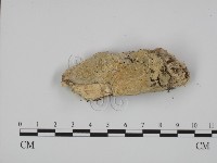 登錄號:F0008694藏品圖，第1張