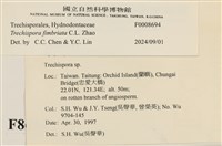 登錄號:F0008694藏品圖，第3張
