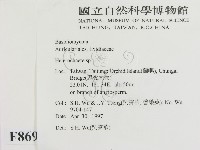 刺皮菌屬藏品圖，第2張