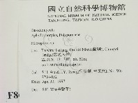 小孔菌屬藏品圖，第2張