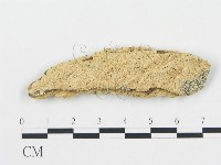 登錄號:F0008701藏品圖，第1張