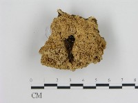 登錄號:F0008703藏品圖，第1張