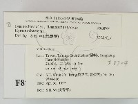 刺革菌屬藏品圖，第2張