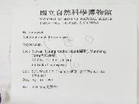 銳孔菌屬藏品圖，第2張