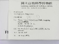 銳孔菌屬藏品圖，第2張