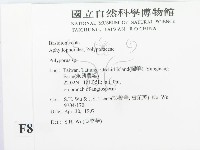 多孔菌屬藏品圖，第2張