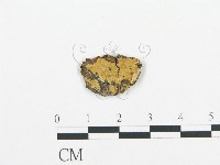 登錄號:F0008709藏品圖，第1張