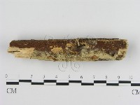 登錄號:F0008710藏品圖，第3張