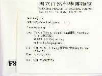 顯絲菌屬藏品圖，第2張