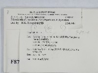 登錄號:F0008714藏品圖，第2張