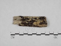 登錄號:F0008714藏品圖，第1張