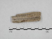 登錄號:F0008714藏品圖，第3張