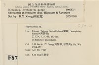 登錄號:F0008714藏品圖，第4張