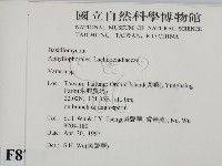 登錄號:F0008715藏品圖，第2張