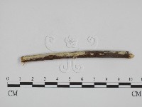 登錄號:F0008715藏品圖，第1張