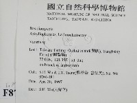 登錄號:F0008716藏品圖，第2張