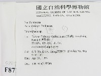 刺皮菌屬藏品圖，第2張