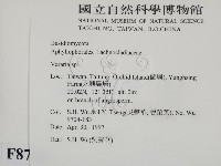登錄號:F0008718藏品圖，第2張
