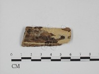 登錄號:F0008718藏品圖，第1張