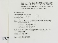 刺皮菌屬藏品圖，第2張