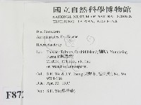 刺皮菌屬藏品圖，第2張