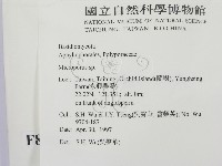 小孔菌屬藏品圖，第2張