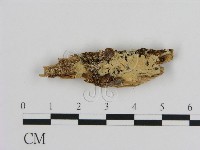 登錄號:F0008723藏品圖，第1張