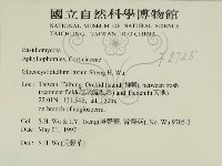 登錄號:F0008725藏品圖，第2張
