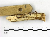 登錄號:F0008725藏品圖，第3張