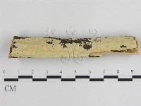 登錄號:F0008728藏品圖，第1張