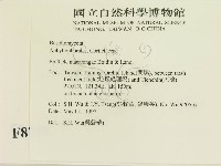 登錄號:F0008729藏品圖，第2張