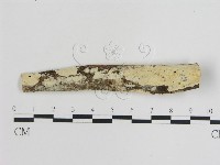 登錄號:F0008729藏品圖，第1張