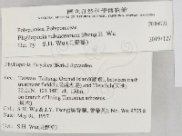 登錄號:F0008731藏品圖，第2張