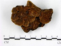 登錄號:F0008731藏品圖，第3張