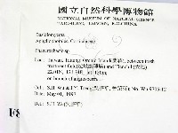 顯絲菌屬藏品圖，第2張