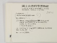 齒耳菌屬藏品圖，第2張