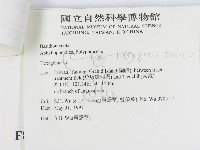 登錄號:F0008737藏品圖，第2張