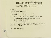 登錄號:F0008738藏品圖，第2張