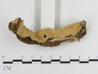 登錄號:F0008738藏品圖，第1張