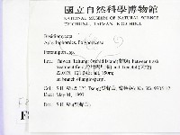 多年臥孔菌屬藏品圖，第2張