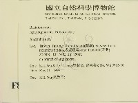 登錄號:F0008741藏品圖，第2張