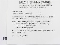 登錄號:F0008742藏品圖，第2張