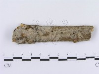 登錄號:F0008742藏品圖，第1張