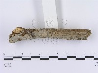 登錄號:F0008742藏品圖，第3張